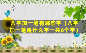 八字加一笔有哪些字（八字加一笔是什么字一共6个字）