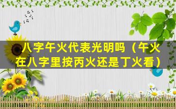 八字午火代表光明吗（午火在八字里按丙火还是丁火看）