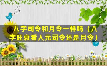 八字司令和月令一样吗（八字旺衰看人元司令还是月令）