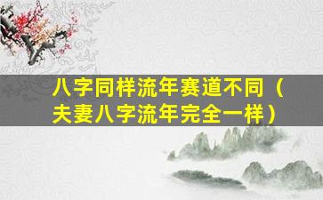 八字同样流年赛道不同（夫妻八字流年完全一样）