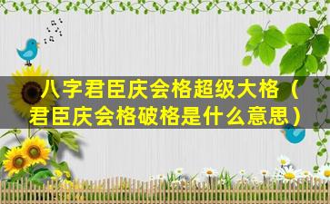 八字君臣庆会格超级大格（君臣庆会格破格是什么意思）