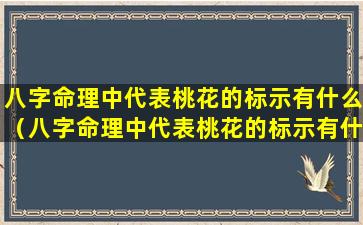 八字命理中代表桃花的标示有什么（八字命理中代表桃花的标示有什么意义）