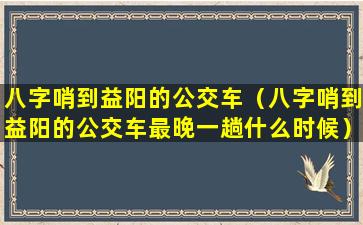 八字哨到益阳的公交车（八字哨到益阳的公交车最晚一趟什么时候）