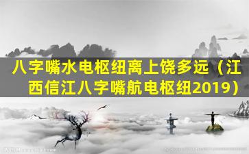 八字嘴水电枢纽离上饶多远（江西信江八字嘴航电枢纽2019）