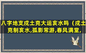 八字地支戍土克大运亥水吗（戌土克制亥水,孤影常游,春风满堂,喜事频繁）