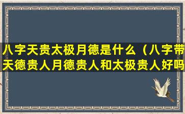 八字天贵太极月德是什么（八字带天德贵人月德贵人和太极贵人好吗）