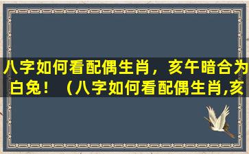 八字如何看配偶生肖，亥午暗合为白兔！（八字如何看配偶生肖,亥午暗合为白兔!）