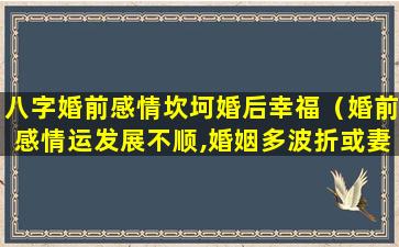 八字婚前感情坎坷婚后幸福（婚前感情运发展不顺,婚姻多波折或妻子体弱）