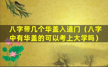 八字带几个华盖入道门（八字中有华盖的可以考上大学吗）