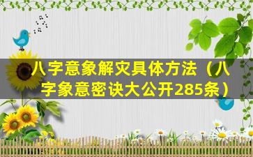 八字意象解灾具体方法（八字象意密诀大公开285条）