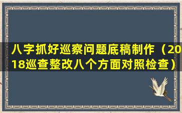 八字抓好巡察问题底稿制作（2018巡查整改八个方面对照检查）