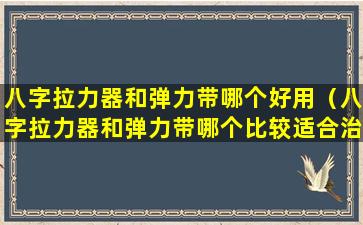 八字拉力器和弹力带哪个好用（八字拉力器和弹力带哪个比较适合治疗颈椎）