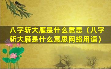 八字斩大雁是什么意思（八字斩大雁是什么意思网络用语）