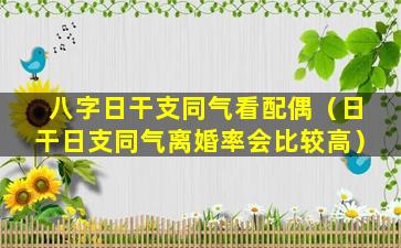 八字日干支同气看配偶（日干日支同气离婚率会比较高）