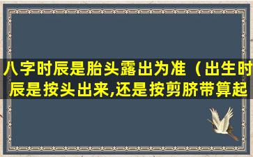 八字时辰是胎头露出为准（出生时辰是按头出来,还是按剪脐带算起）