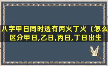 八字甲日同时透有丙火丁火（怎么区分甲日,乙日,丙日,丁日出生）