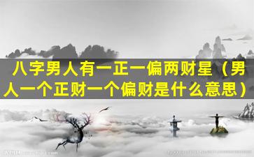 八字男人有一正一偏两财星（男人一个正财一个偏财是什么意思）