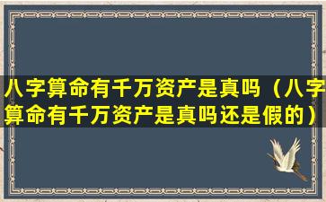 八字算命有千万资产是真吗（八字算命有千万资产是真吗还是假的）