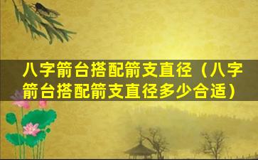 八字箭台搭配箭支直径（八字箭台搭配箭支直径多少合适）