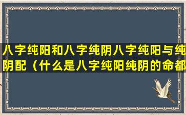 八字纯阳和八字纯阴八字纯阳与纯阴配（什么是八字纯阳纯阴的命都有什么特点）