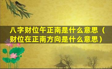 八字财位午正南是什么意思（财位在正南方向是什么意思）