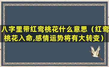 八字里带红鸾桃花什么意思（红鸾桃花入命,感情运势将有大转变）