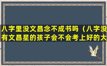 八字里没文昌念不成书吗（八字没有文昌星的孩子会不会考上好的大学）