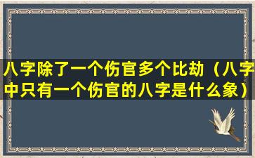 八字除了一个伤官多个比劫（八字中只有一个伤官的八字是什么象）