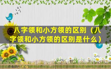 八字领和小方领的区别（八字领和小方领的区别是什么）