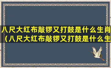 八尺大红布敲锣又打鼓是什么生肖（八尺大红布敲锣又打鼓是什么生肖啊）