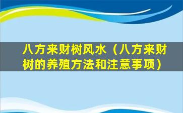 八方来财树风水（八方来财树的养殖方法和注意事项）