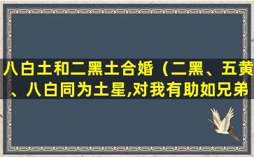 八白土和二黑土合婚（二黑、五黄、八白同为土星,对我有助如兄弟、手足）