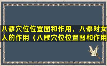 八髎穴位位置图和作用，八髎对女人的作用（八髎穴位位置图和作用,八髎对女人的作用）