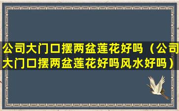 公司大门口摆两盆莲花好吗（公司大门口摆两盆莲花好吗风水好吗）