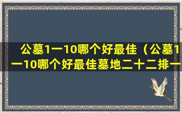 公墓1一10哪个好最佳（公墓1一10哪个好最佳墓地二十二排一号好吗）