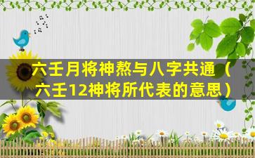 六壬月将神熬与八字共通（六壬12神将所代表的意思）