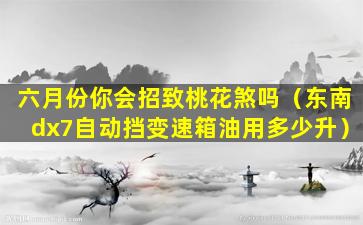 六月份你会招致桃花煞吗（东南dx7自动挡变速箱油用多少升）