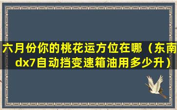 六月份你的桃花运方位在哪（东南dx7自动挡变速箱油用多少升）