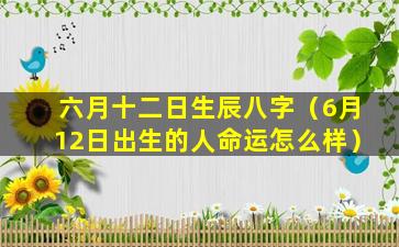 六月十二日生辰八字（6月12日出生的人命运怎么样）