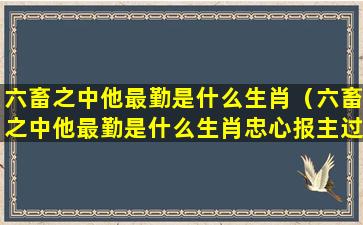 六畜之中他最勤是什么生肖（六畜之中他最勤是什么生肖忠心报主过一生打一生肖）