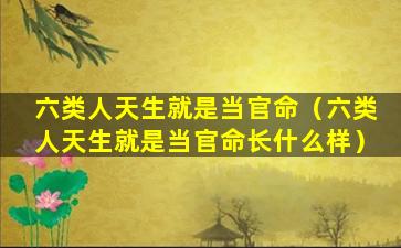 六类人天生就是当官命（六类人天生就是当官命长什么样）