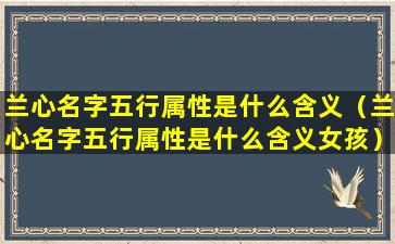 兰心名字五行属性是什么含义（兰心名字五行属性是什么含义女孩）