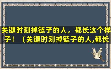 关键时刻掉链子的人，都长这个样子！（关键时刻掉链子的人,都长这个样子什么意思）