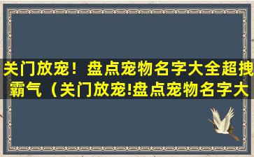 关门放宠！盘点宠物名字大全超拽霸气（关门放宠!盘点宠物名字大全超拽霸气）