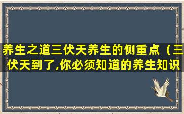 养生之道三伏天养生的侧重点（三伏天到了,你必须知道的养生知识!）