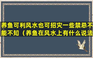 养鱼可利风水也可招灾一些禁忌不能不知（养鱼在风水上有什么说法）