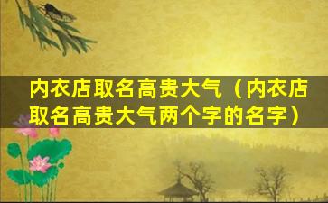 内衣店取名高贵大气（内衣店取名高贵大气两个字的名字）