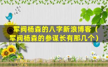 军阀杨森的八字新浪博客（军阀杨森的参谋长有那几个）