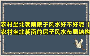 农村坐北朝南院子风水好不好呢（农村坐北朝南的房子风水布局结构设计图）