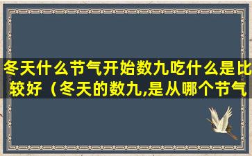 冬天什么节气开始数九吃什么是比较好（冬天的数九,是从哪个节气开始的）